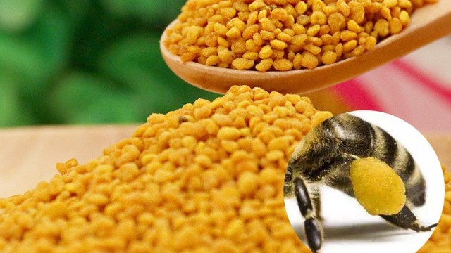 什么是蜂花粉？純花粉和百花粉怎么區別？