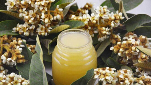 枇杷蜂蜜好嗎？和普通蜂蜜有什么區別？
